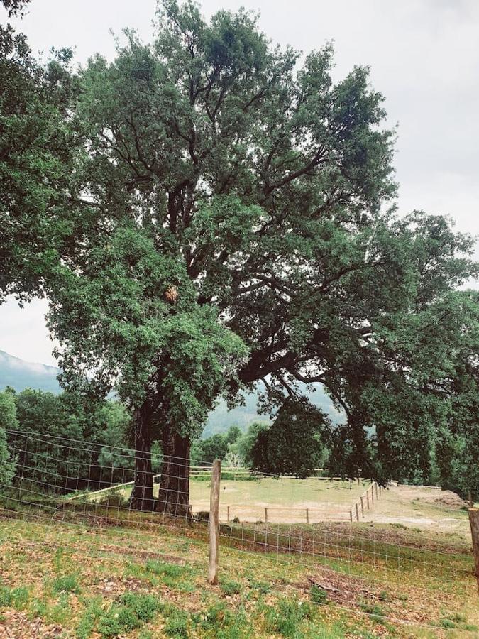 Refugio Do Sobreiro Villa Cabeceiras de Basto Dış mekan fotoğraf